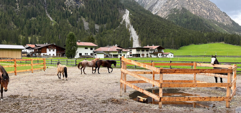Pferdehof Charlotte Wagner