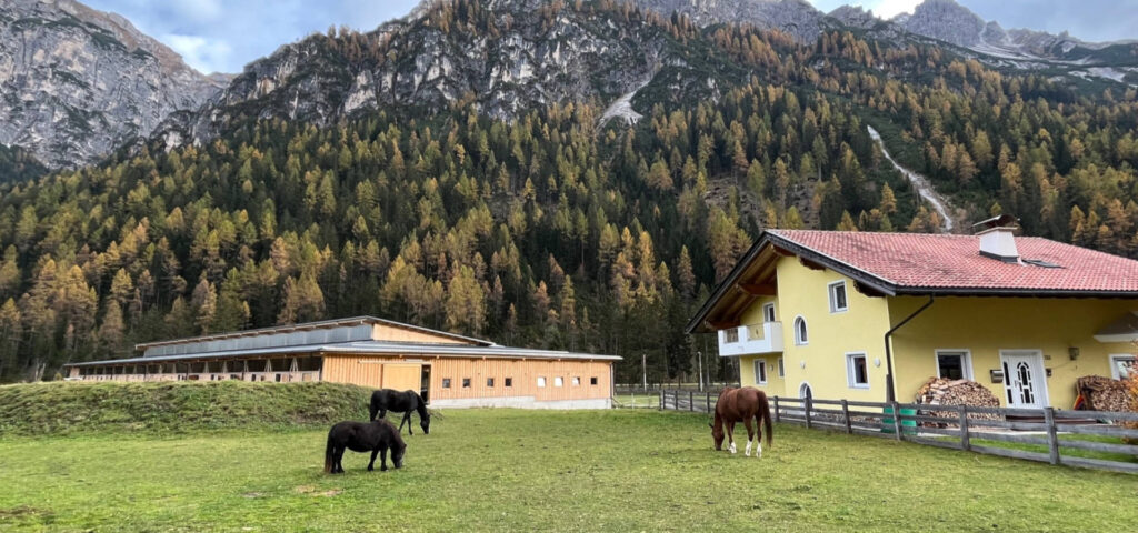 Pferdehof Charlotte Wagner