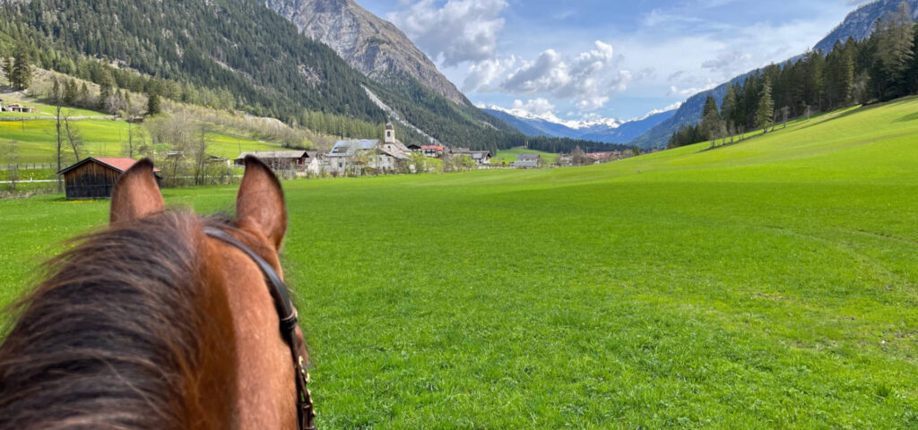 Pferdehof Charlotte Wagner