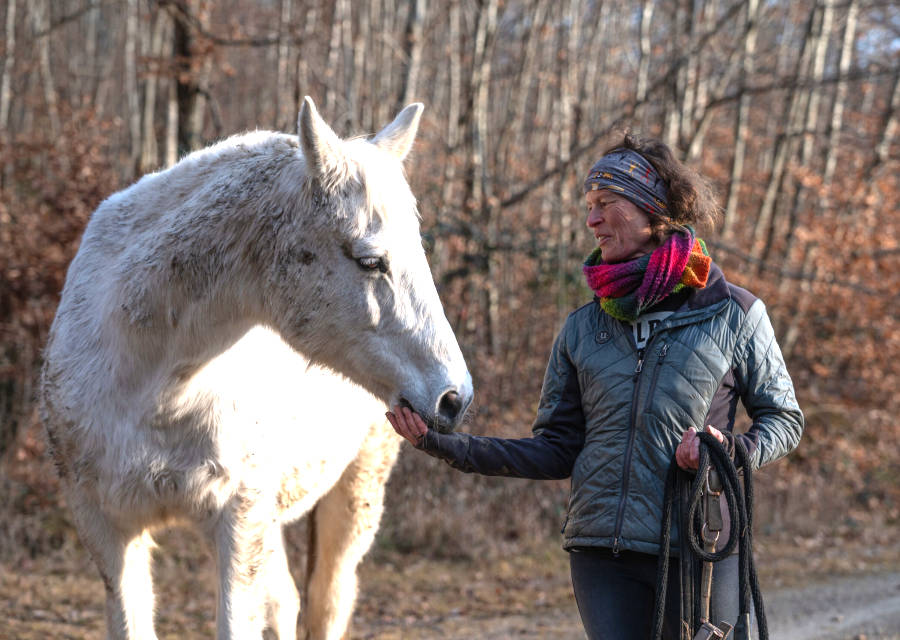 Pferdetraining Wagner